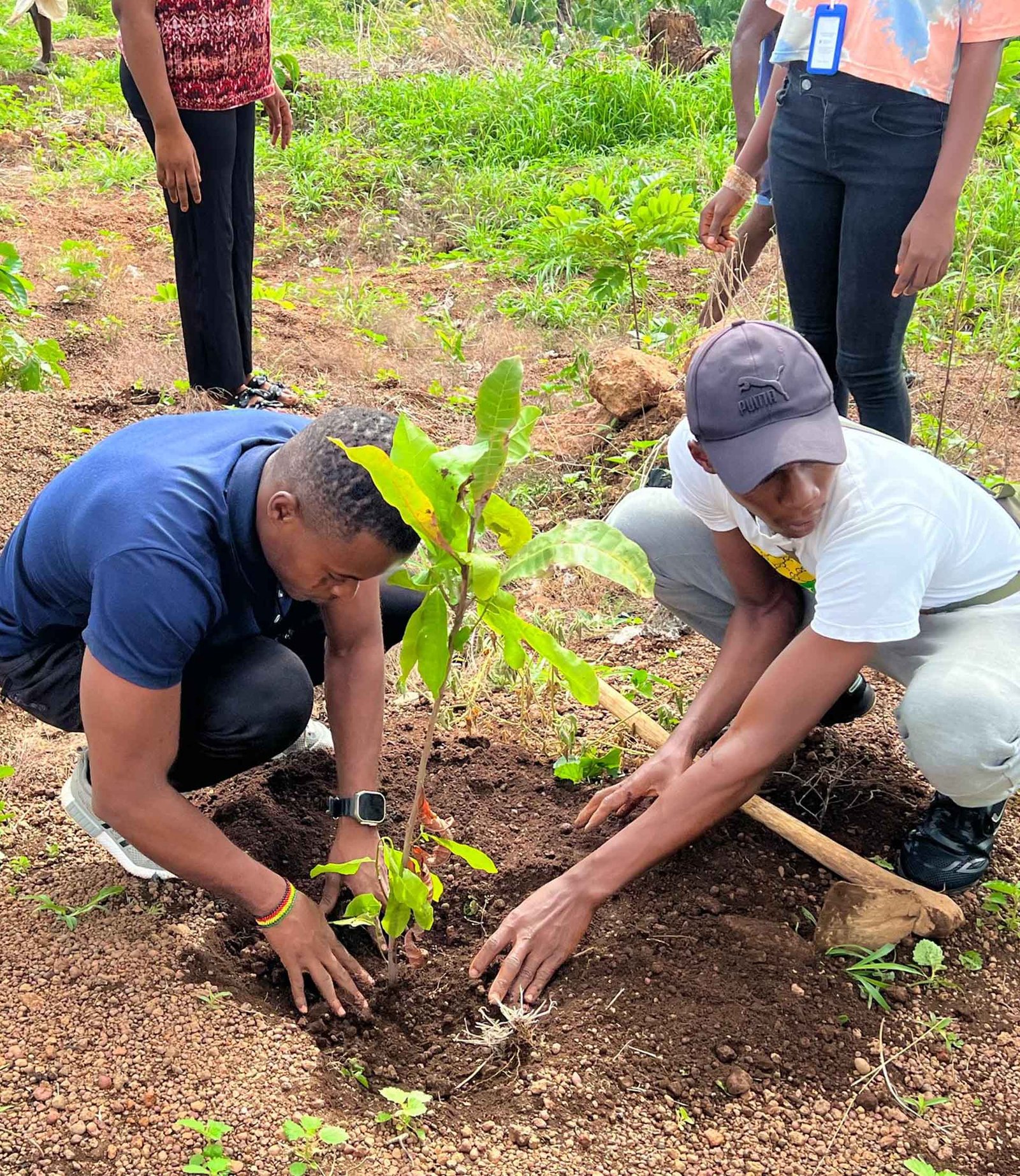 Environmental Education